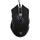 Maus Varr Rival VGMB04, 6D, i zi