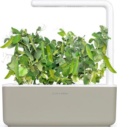 Kapsula bimore Click & Grow Dwarf Pea, set me 3 copë, për Smart Garden, jeshile