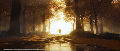 Videolojë Ghost of Tsushima - Director's Cut (PS5)