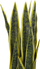 Bimë artificiale dekorative Snake Plant, 63 cm, me vazo, e gjelbër