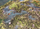 Set terreni Battle Systems BSTFWA008 Lakes &amp; Bogs, për lojëra tabletop, me shumë ngjyra