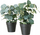 Bimë artificiale Boltze Home sage eucalyptus, në vazo, jeshile, vazo e zezë