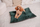 Jastëk shtrati për qen Soft Velvet, 50x70cm, velvet i butë, jeshile e errët
