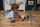 Lodra konstruktori Marioinex Waffle Blocks Mini, 300 copa, në kuti, shumëngjyrëshe