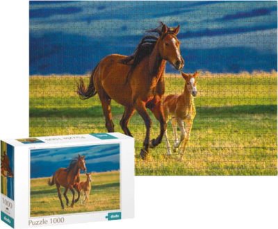 Puzzle Dodo Teaching the Foal, 1000 copë, me kuaj, shumëngjyrësh