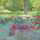 Kartolinë Susan Entwistle Tulips In The Garden, me zarf, me tulipanë në kopsht, shumëngjyrëshe