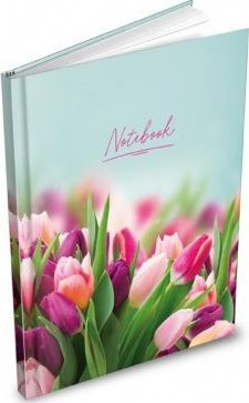 Тетратка Notebook ZL5104, A5, 100 листови со линии, во повеќе бои