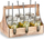 Set gotash për pije Zeller, 7 pjesë, 450 ml, qelq transparent