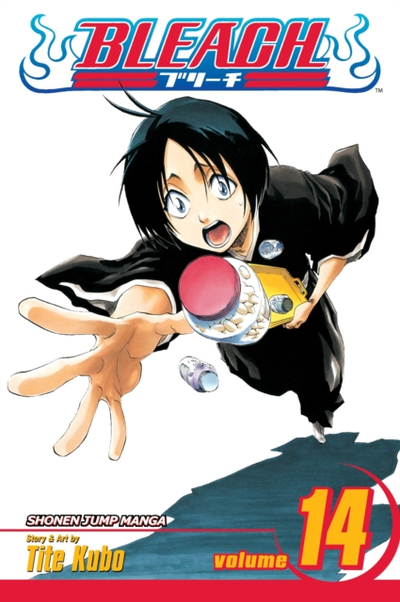 Bleach Vol 14 - Tite Kubo