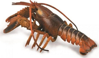 Figurë lodër Collecta Gaforre deti, shumëngjyrëshe