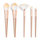Set i brushave Revolution Precious Stone