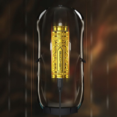 Karikues makine WK WP-C37 Sakin, 20W, porta USB A+C, gri metalik