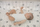 Чаршаф за кревет BabyMatex Cotton 63 TB0379_63, 70 x 140 cm, памук, со еластична гума