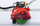 Prerëse elektrike pllaka Rubi DC-250 Python, disk 250mm, Zero Dust, e kuqe