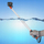 Selfie stick Telesin Monopod Grip, 36–62 cm, transparent, portokalli me të zezë