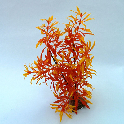 Bimë dekoruese për akuarium ZOOLOGY "C", 30 cm