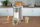 Dispencer uji i nxehtë Unold Ava, me display, 2600W, i bardhë
