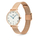 Ora dore Daniel Wellington Petite, 28mm, chronograf, rozë gold