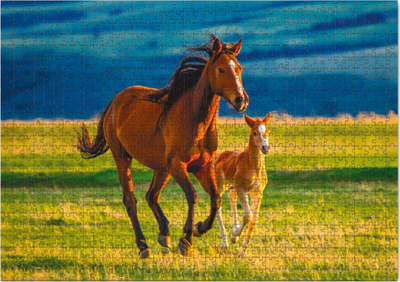 Puzzle Dodo Teaching the Foal, 1000 copë, me kuaj, shumëngjyrësh