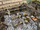 Set terreni Battle Systems Northern Settlement Core Set, për miniatura 28–35mm, RPG edhe wargame, me shumë ngjyra