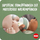Set biberonësh dhe qetësuesesh NUK For Nature Start, 150 ml dhe 260 ml, 0–6 muaj, pa BPA