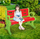 Stol lodrash Woopie Bench, plastik, 106cm, i kuq jeshil