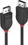 Kabllo Lindy, DisplayPort - DisplayPort, 2 m, e zezë