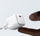 Karikues muri USAMS X-Ron, USB-C PD 3.0, 30W, i zi