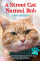 Street Cat Named Bob - James Bowen