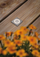 Spot tokësor Paulmann Ground Recessed Luminaire House, LED 2W, 3000K, çelik inox katror