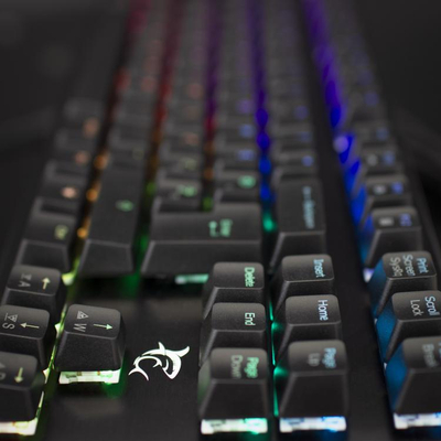 Tastierë Gaming White Shark Mekanike, RGB, Spartan X