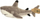 Lodër pelushi Wild Republic Cuddly Shark, 38cm, peshkaqen, e bardhë gri