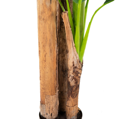 Bimë sintetike Pema Banane 200cm (HM7978)