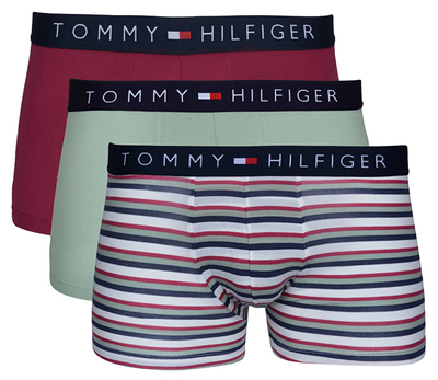 Brekë Tommy Hilfiger UM0UM00548-102, XL, 3 palë