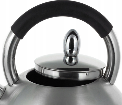 Çajnik KAMILLE Steel Kettle With Whistle, 2.7L, çelik inox, argjendtë