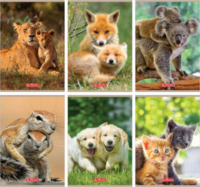 Тетратка A5 Double Line Animals, формат A5, пакет 10 парчиња, шарени