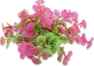 Bimë artificiale për akuarium Happet Plant Foil, 10cm, rozë jeshile