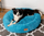 Shtrat qeni MIMIKO Pets Shaggy Round XXL, donut rreth, antirrëshqitës, turkez