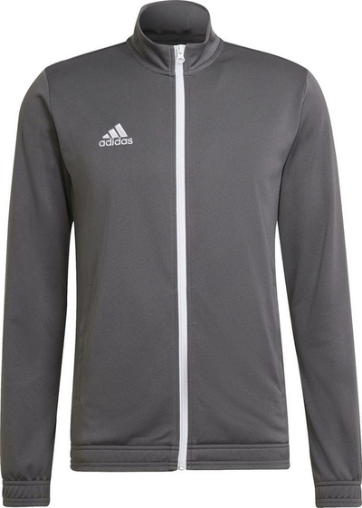 Duks për meshkuj Adidas ENTRADA 22 Track Jacket H57522, XL, i hirtë