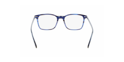 Syze Optike Calvin Klein Ck22541 420