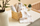 Pelenë muslin Sensillo Beige Teddy, set me 3 copë, 70x80cm, bezhë