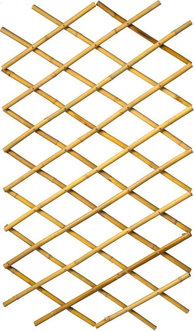 Varëse muri për lule Nature Trellis, 100 x 200 cm, kafe