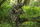 Ponço shiu Neo 3 in 1 63-132, poliestër 210D, camo
