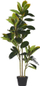 Bimë artificiale Ficus Elastica, 134cm, në vazo, e zezë