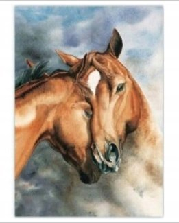 Set pikturimi me numra Horses, kanavacë 40x50 cm, me kornizë druri, shumëngjyrësh