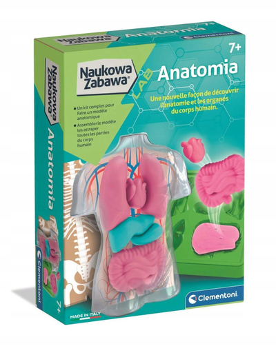 Set edukativ Clementoni Science Fun Anatomy, modelim organe trupore, për fëmijë