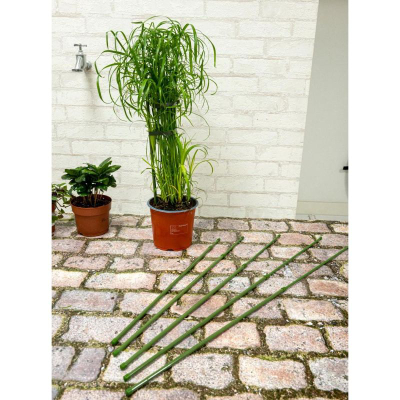 Set shkopinj mbajtës për bimë, 6 copë, 50–80 cm, jeshil