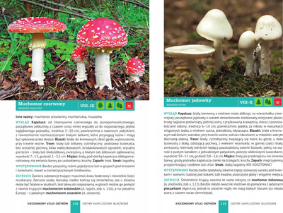 Libër xhepi SBM Pocket Atlas of Mushrooms, 180 lloje, polonisht