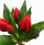 Buqetë lulesh artificiale Saska Gift and Decor, tulipanë të kuq, 5 copë, silikon PU 28 cm