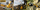 Fryrës oborri DeWalt DCMBL777 XR FlexVolt, 54V, brushless, pa bateri